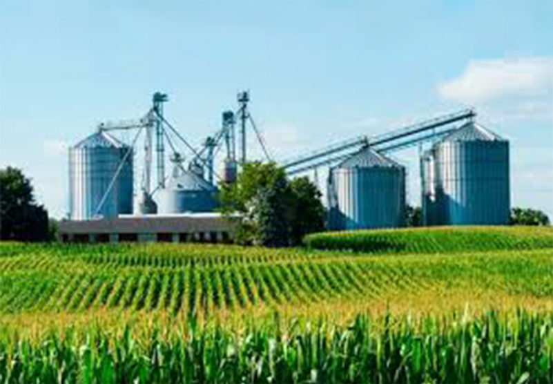 Sector Agro
